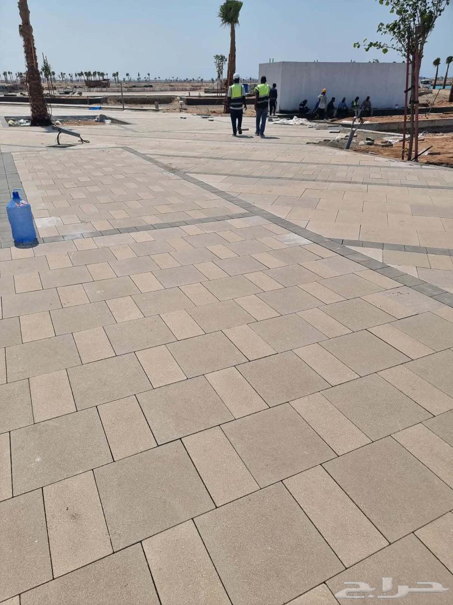 معلم بندورة وانترلوك وبلاط64229180934145113