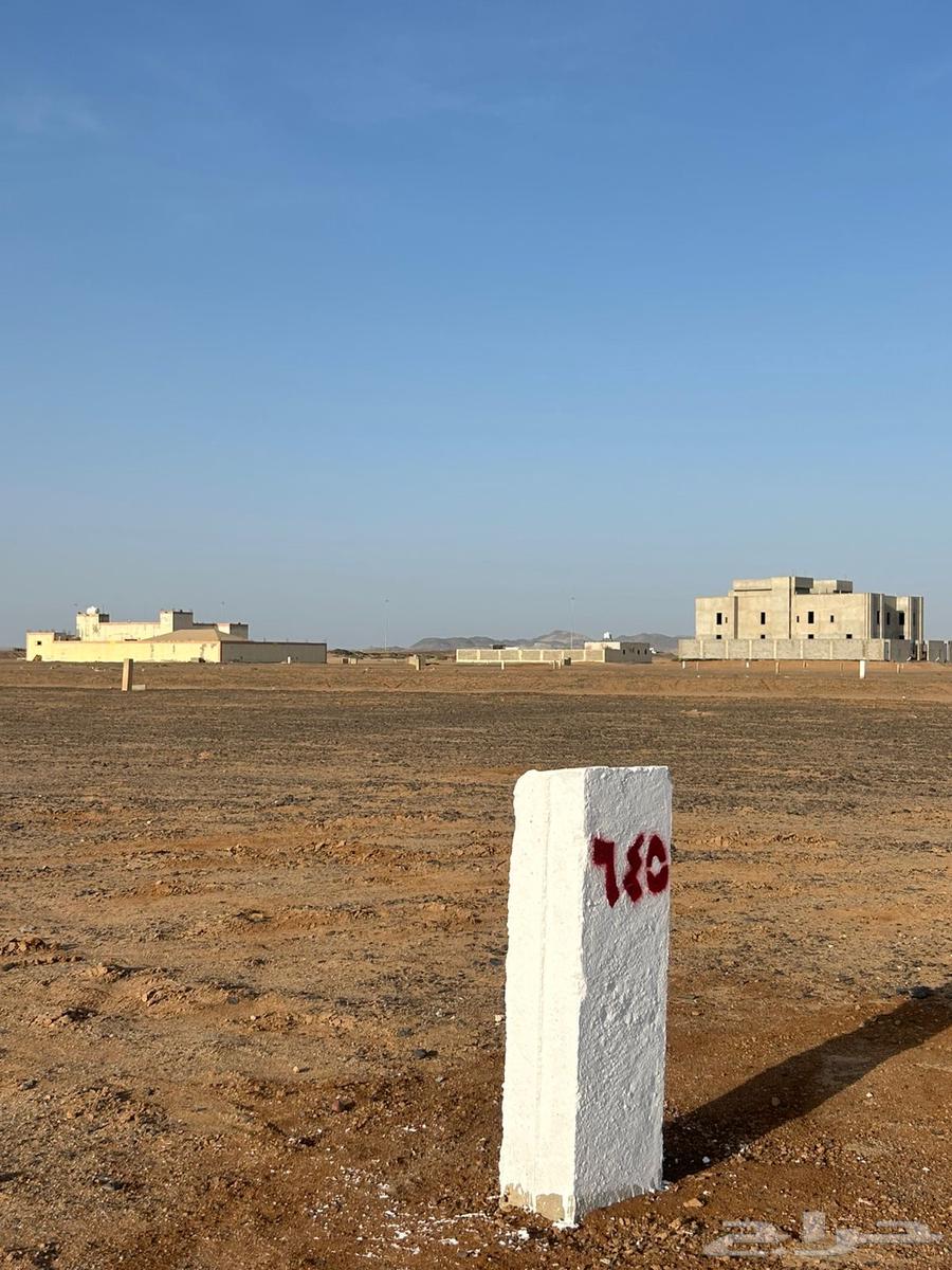 فرصه للبيع ارض 300 متر في جوهرة العروس 2ر حي الفرقان64228629345539112