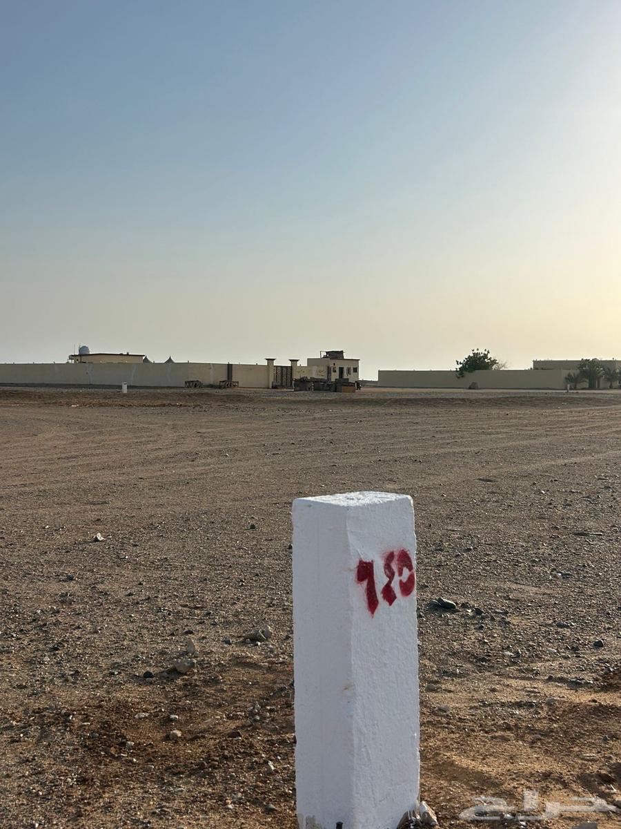 فرصه للبيع ارض 300 متر في جوهرة العروس 2ر حي الفرقان64228629345539114