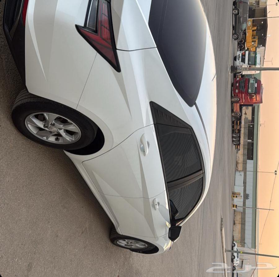 Walking from Jeddah, Mecca, Taif to Sharurah64228272871425110