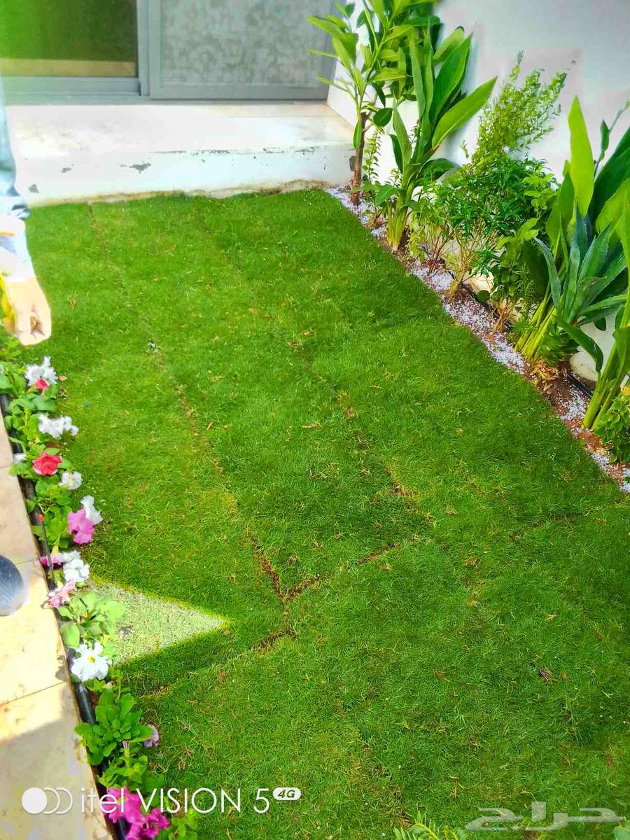 تنسيق حدائق بنواعها64228463204866112