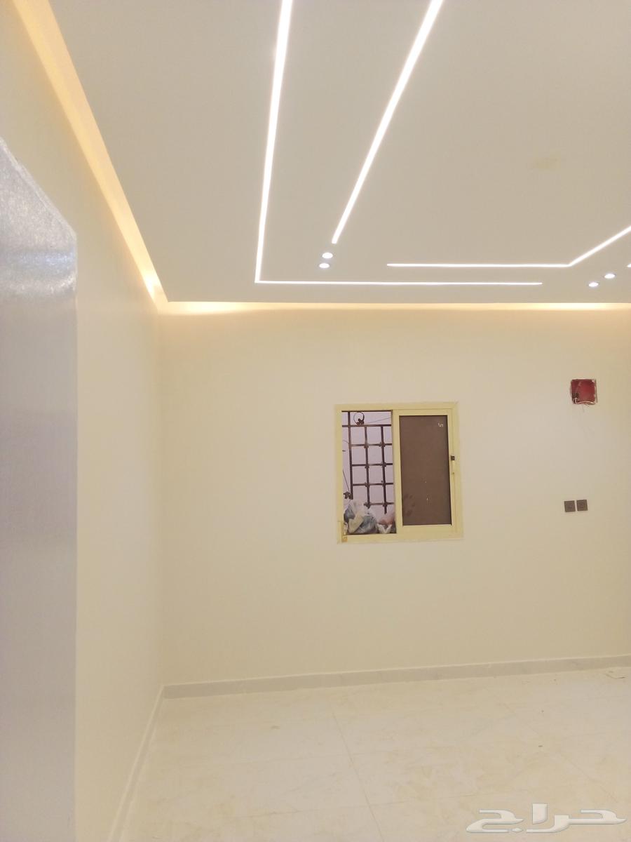 صباغ64229384839169111