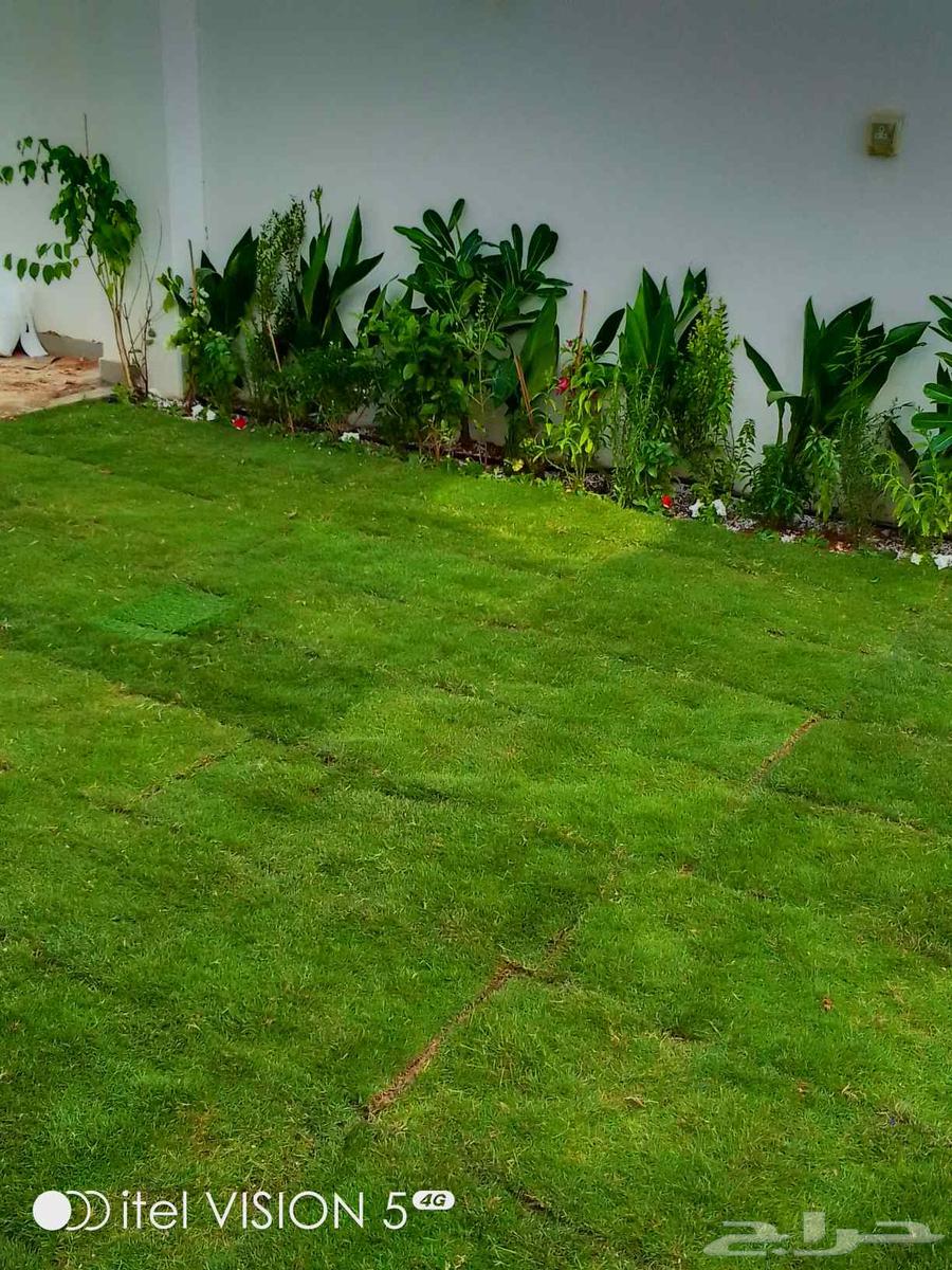 تنسيق حدائق بنواعها64228463204866111