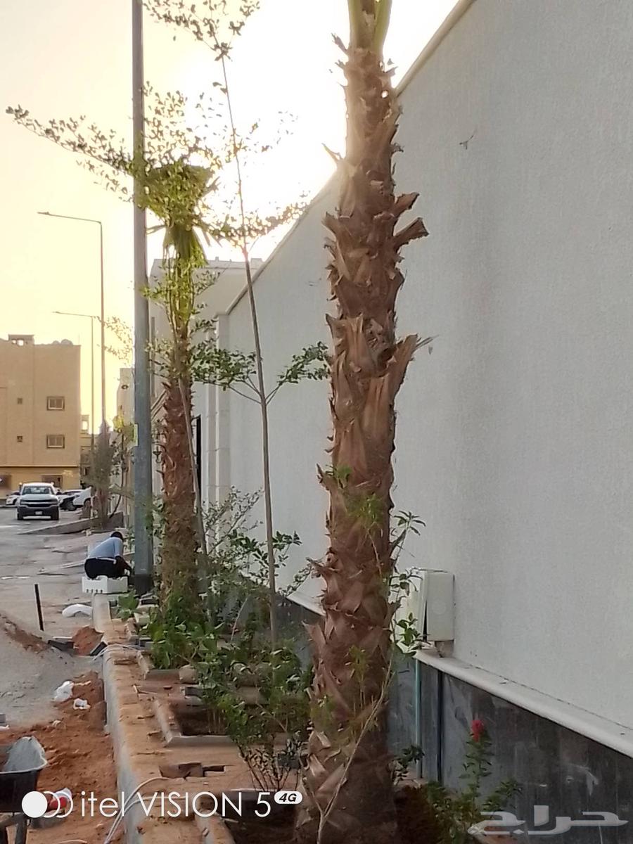 تنسيق حدائق بنواعها64228463204866114