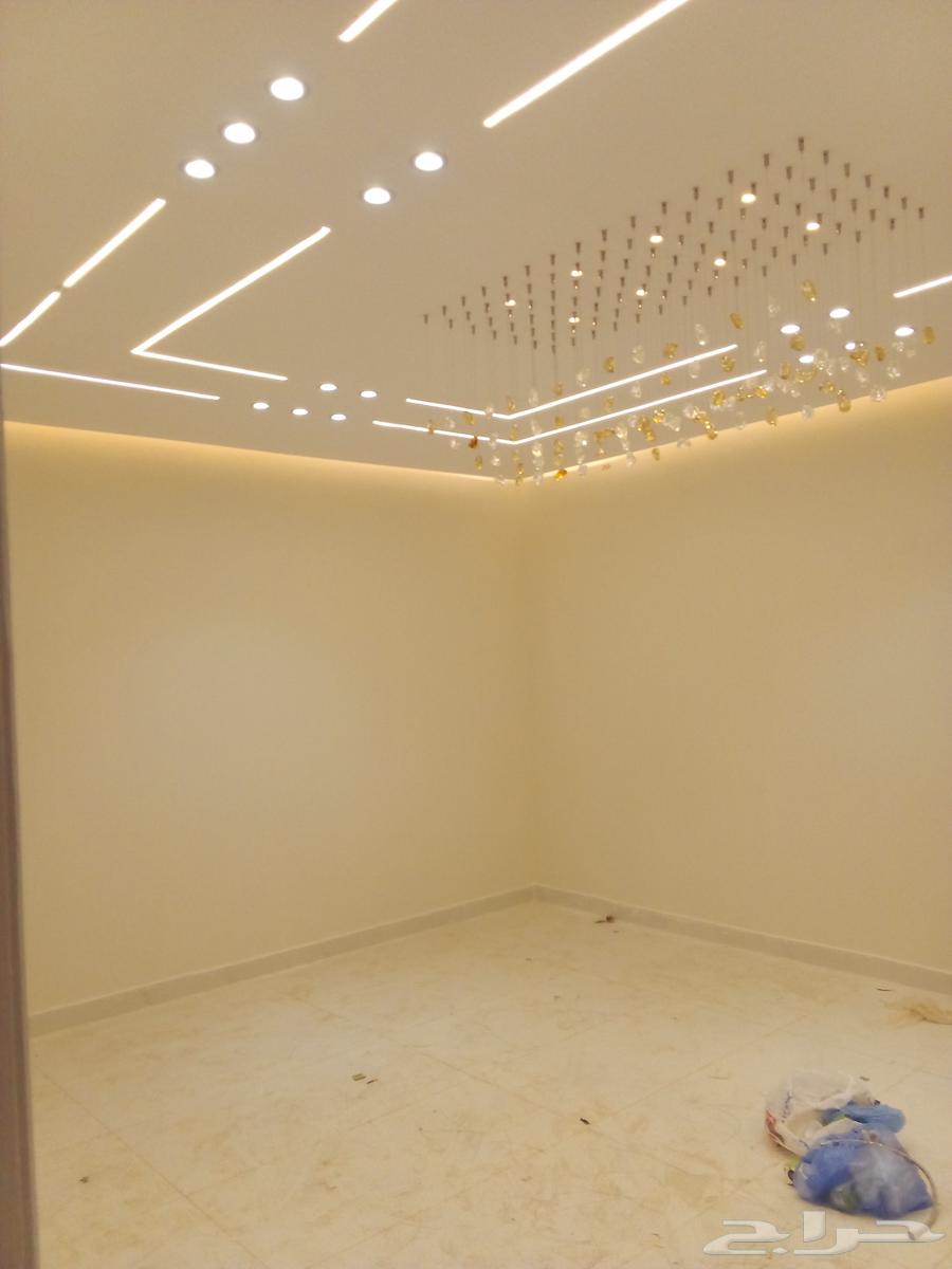 صباغ64229384839169114