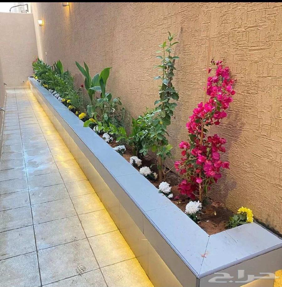فني تنسيق الحدائق العامة والخاصة64225860256387114