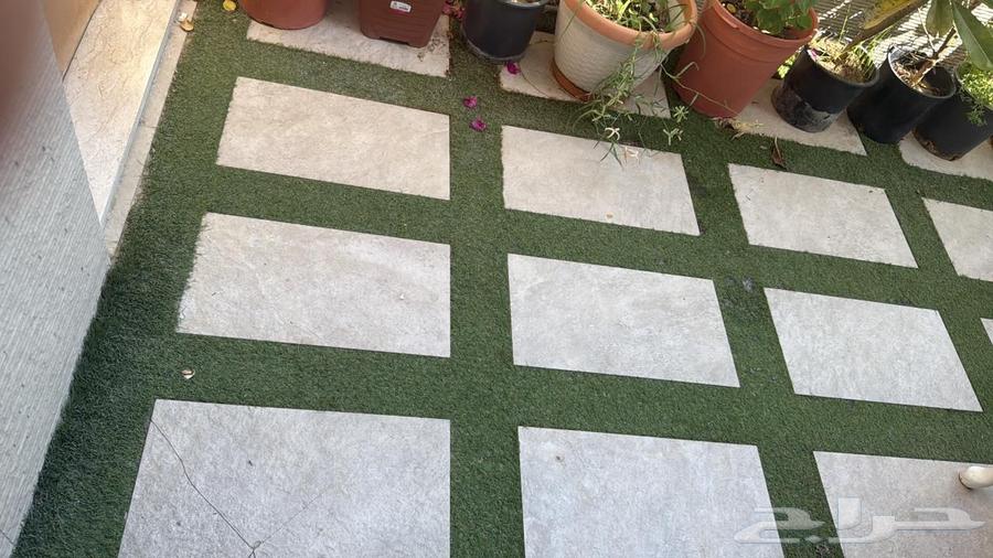 مشتل ابناء الصعيد64229182339075113