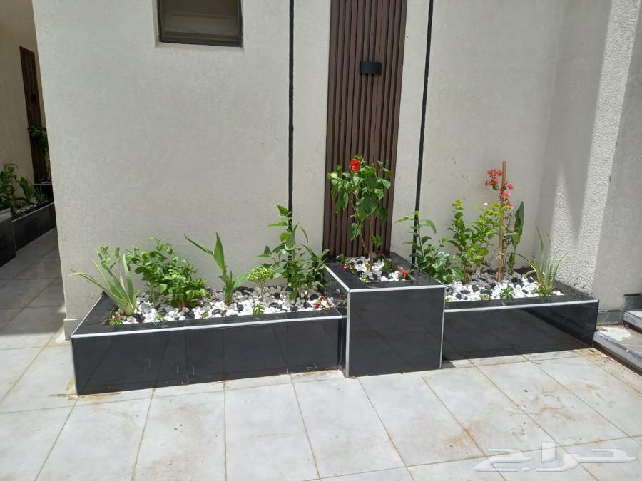 منسق حدائق القصيم64229183456258113