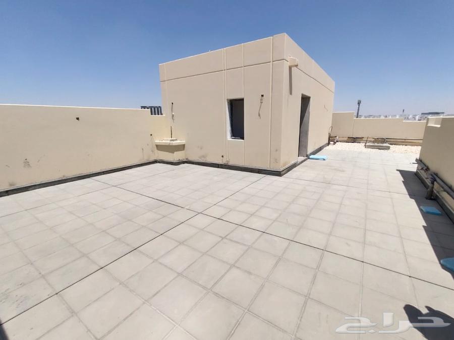 Interlock and Baldoora, God willing, Amana64229386071809111