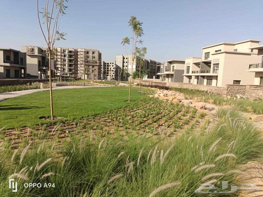 Installation and Maintenance of Irrigation Network Timers and Landscape Implementation and Maintenance64226082923267112