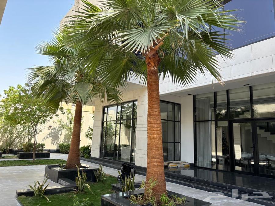 تنفيذ جميع الديكورات مع المهندس عبدالملك64228464682241111