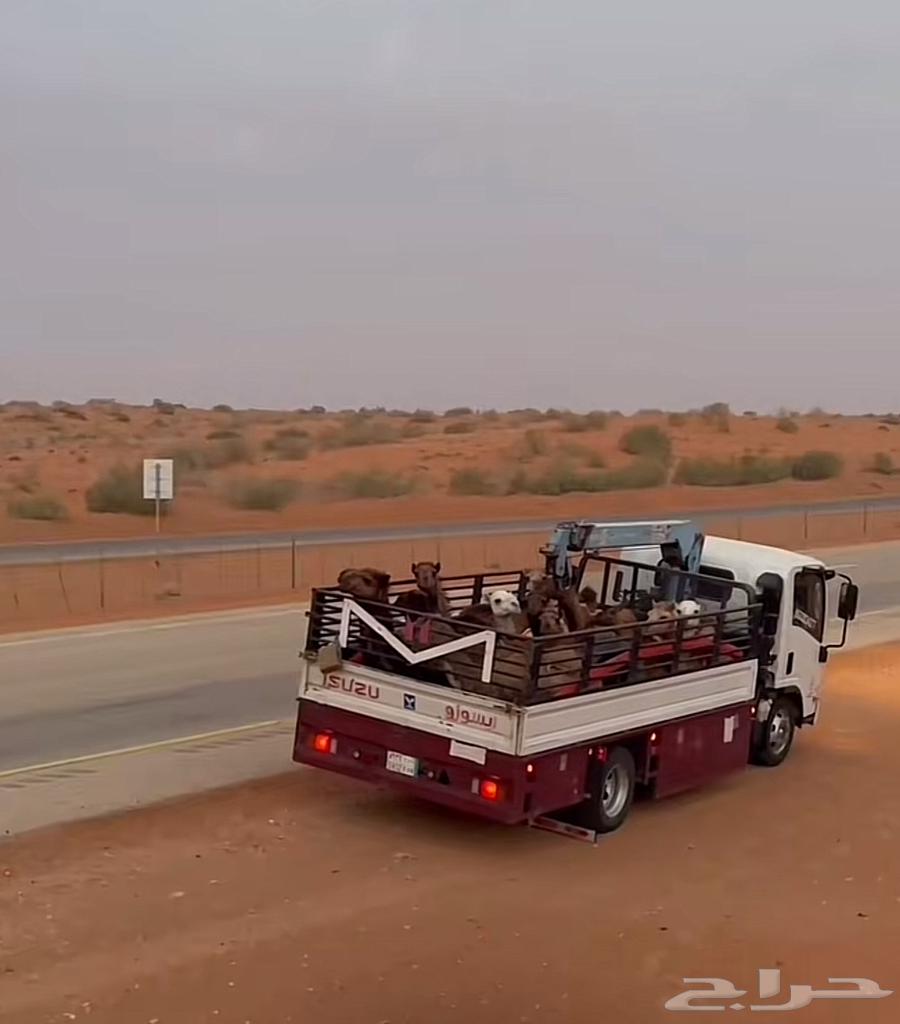 دنه هيدروليك لتحميل الحلال والمعدات64228465538049110