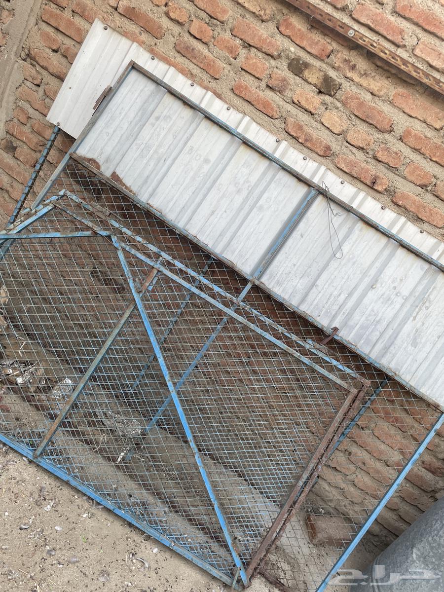 شبوك حمام64226080989059113