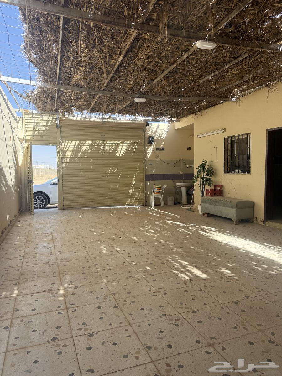 Vacation home for rent, Tabuk, Dammaj, next to Al-Manakh Palace64239752427521113