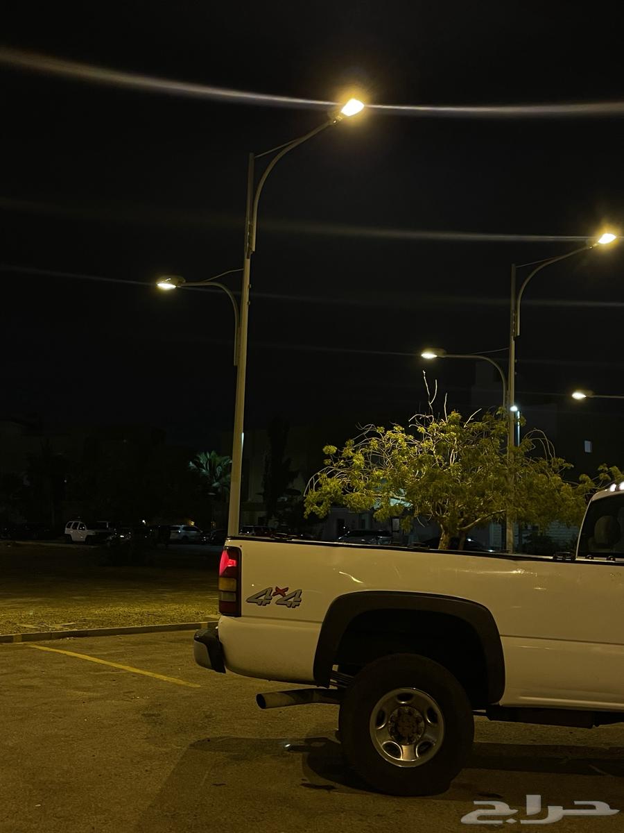 Transporting orchards tracks Al Mohamadia Al Marjan64229383107714112