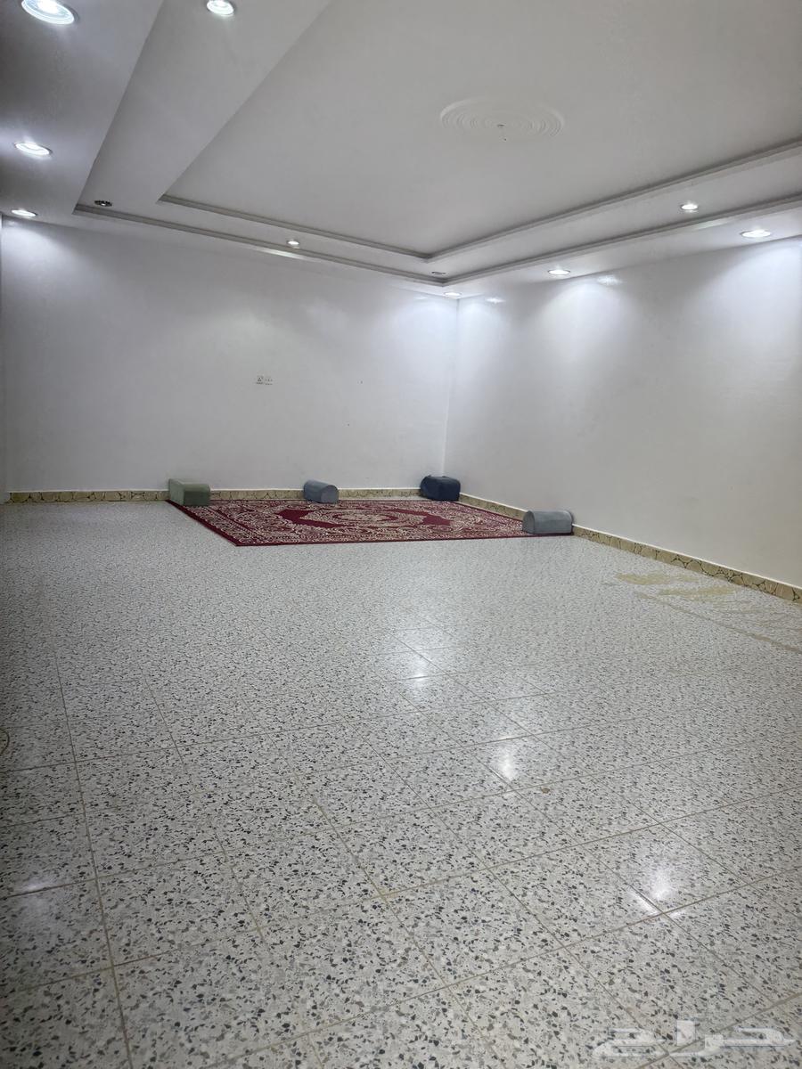 Vacation home for rent, Tabuk, Dammaj, next to Al-Manakh Palace64239752427521114