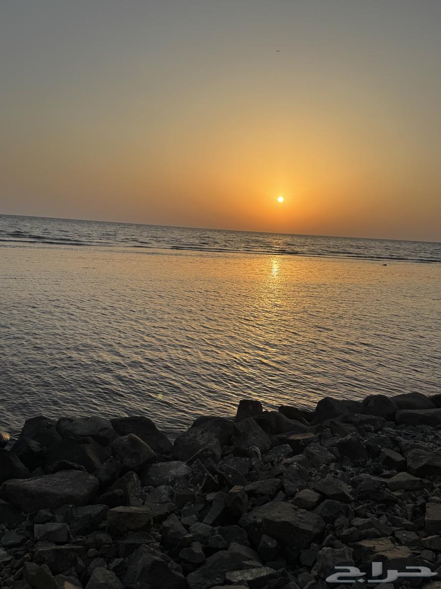 آحتاج شقة غرفتين في حي السنابل او الأجاويد64228628797058110