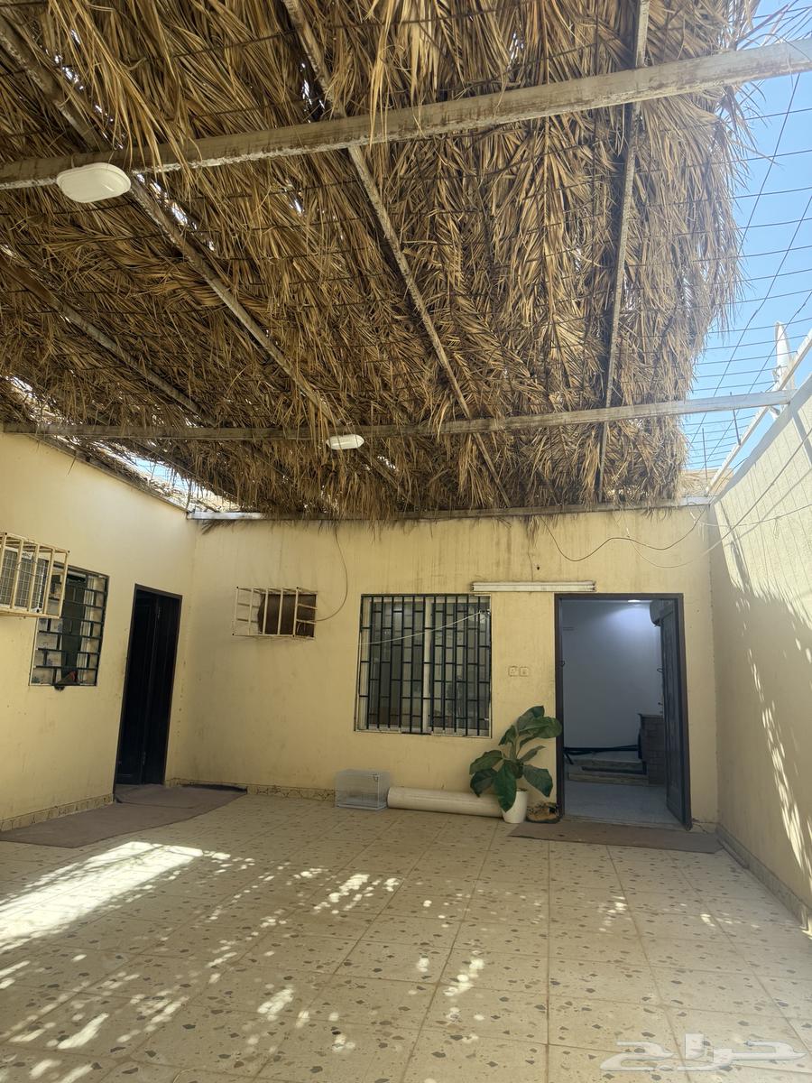 Vacation home for rent, Tabuk, Dammaj, next to Al-Manakh Palace64239752427521110