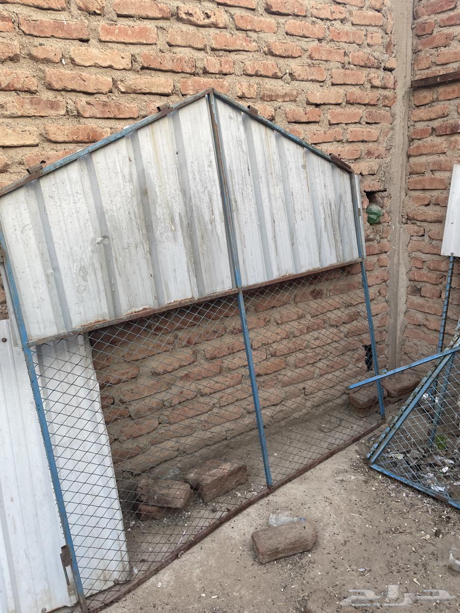 شبوك حمام64226080989059110