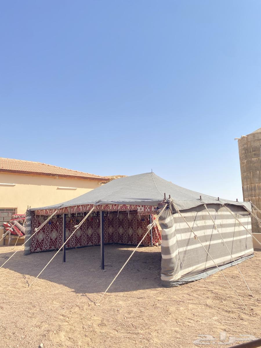 Tents, royal tents, and all sizes of tents are available, welcome64228274460419110