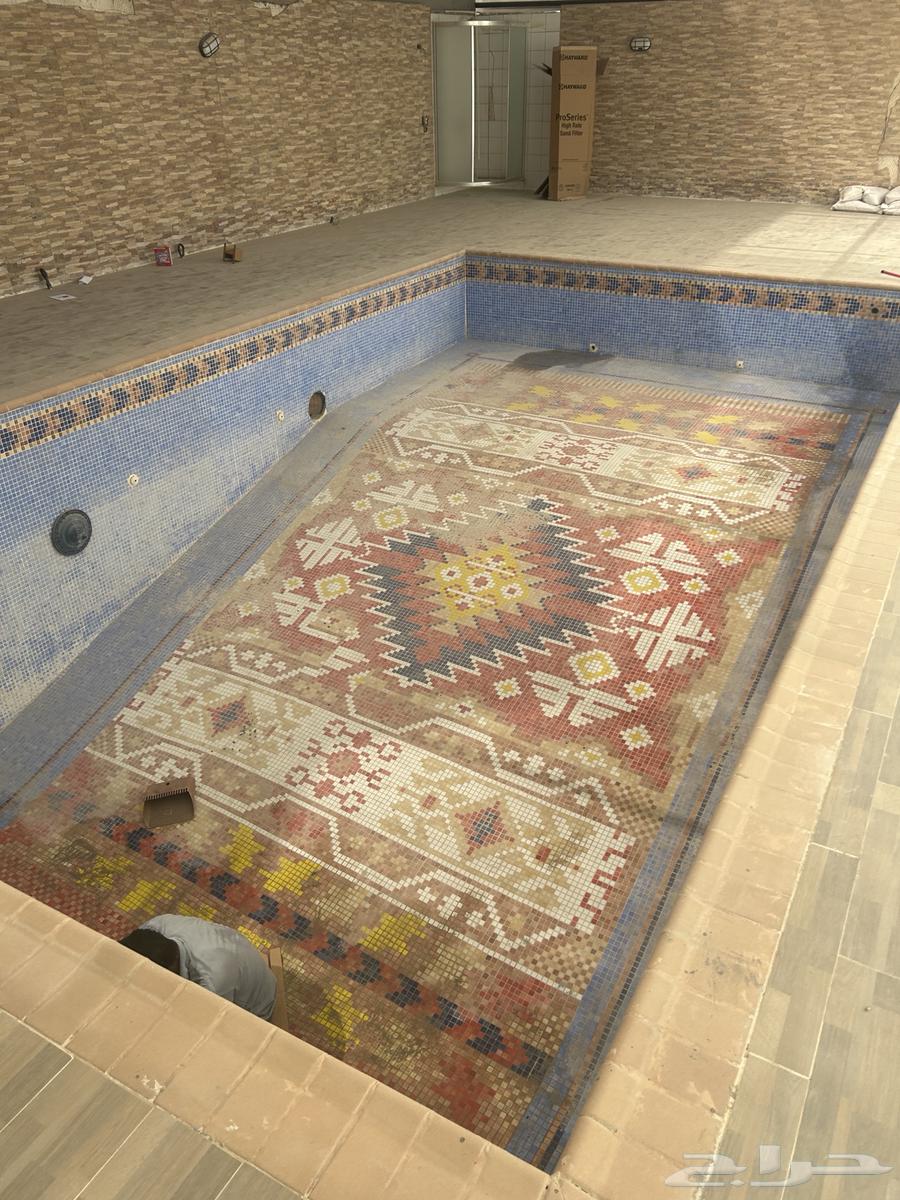 Swimming Pool Cleaning, Maintenance, and Inspection64228824967043111