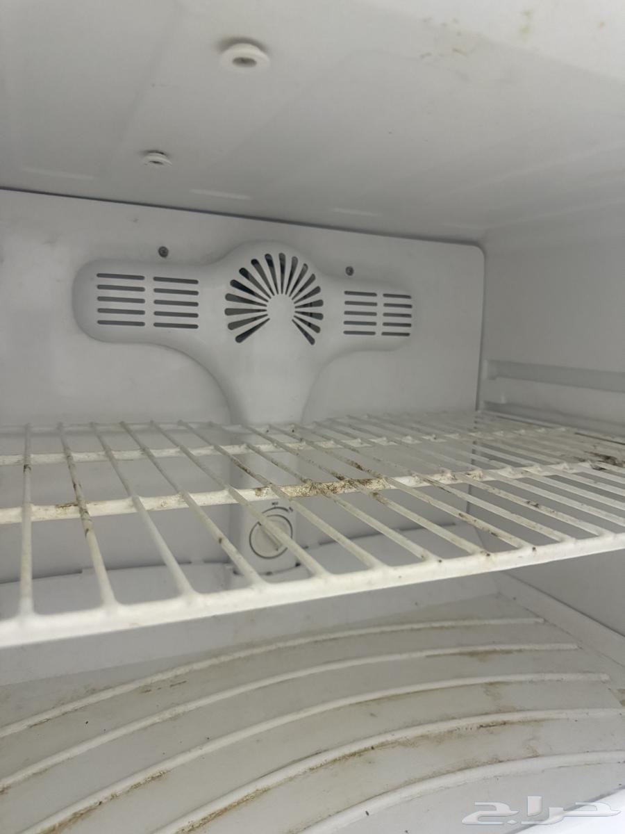 مطلوب شقه64228628966019110