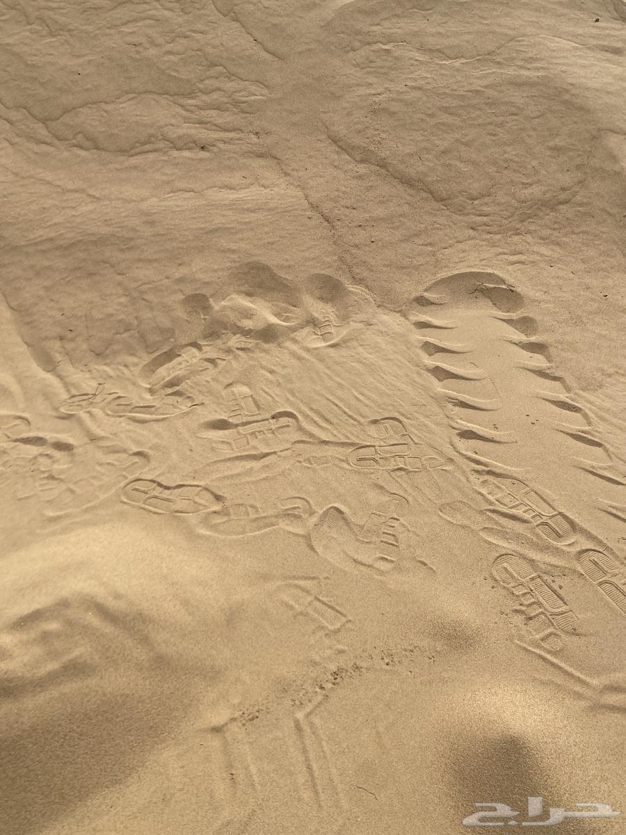 Selling sand of all types available 24 hours at any time64228464217346111