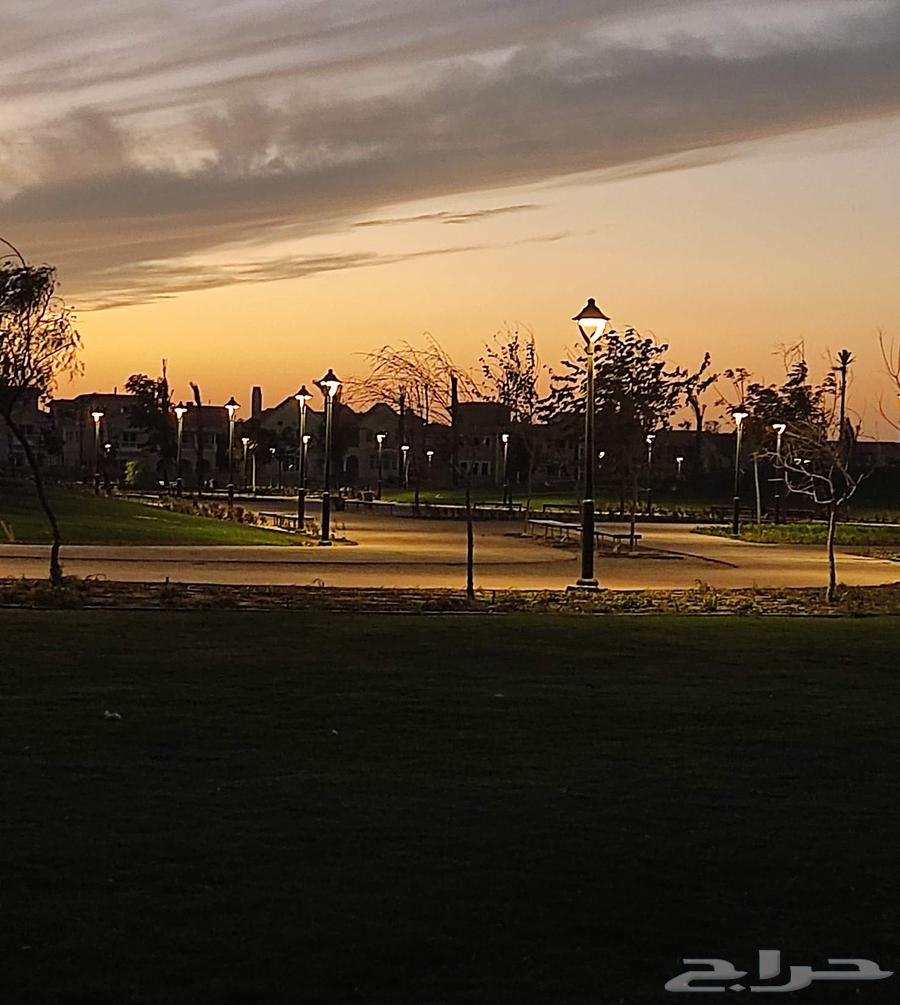 Installation and Maintenance of Irrigation Network Timers and Landscape Implementation and Maintenance64226082923267114