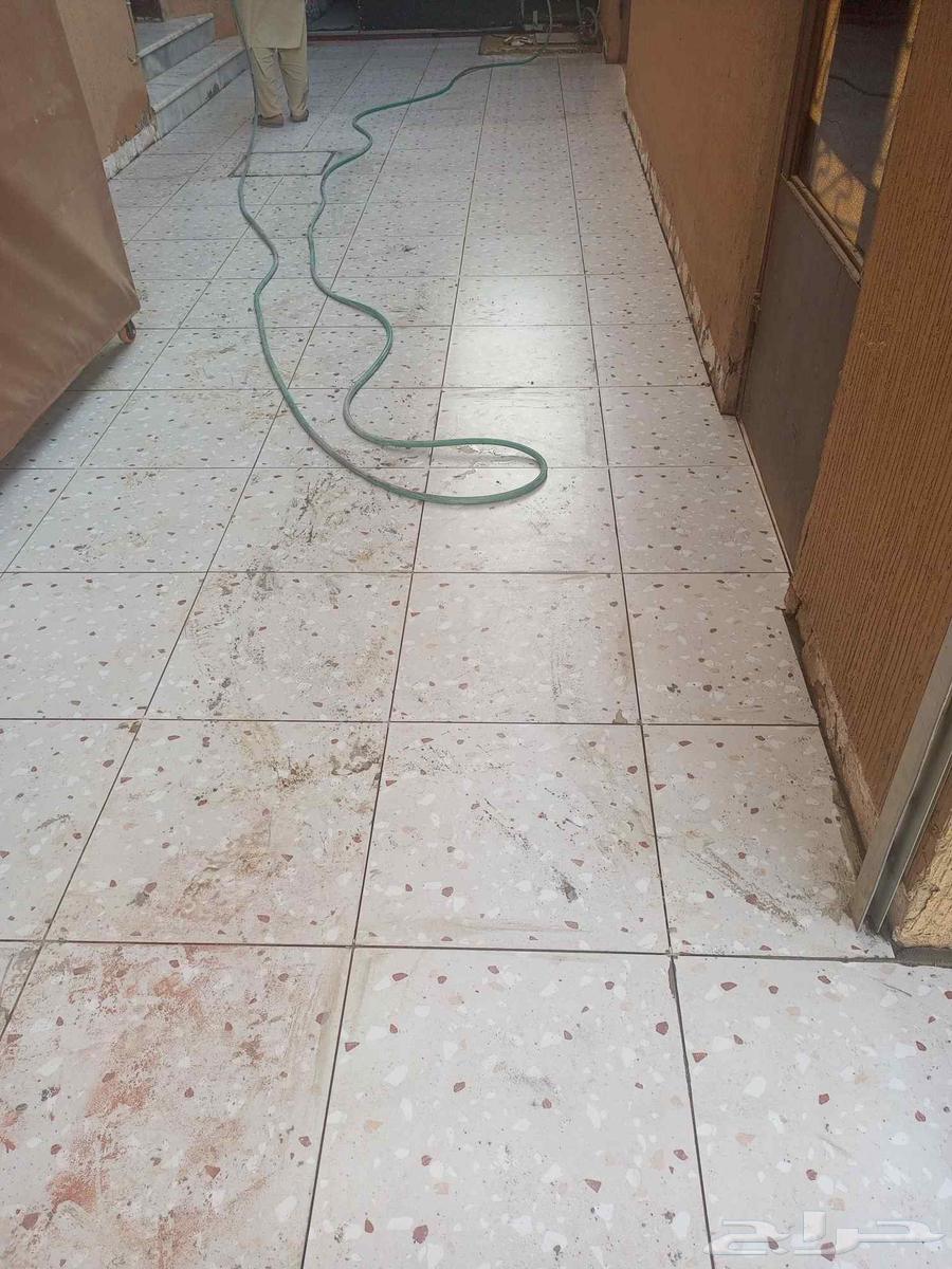 معلم بلط اسماعيل باكستاني بلاط السيراميك64239966085889111