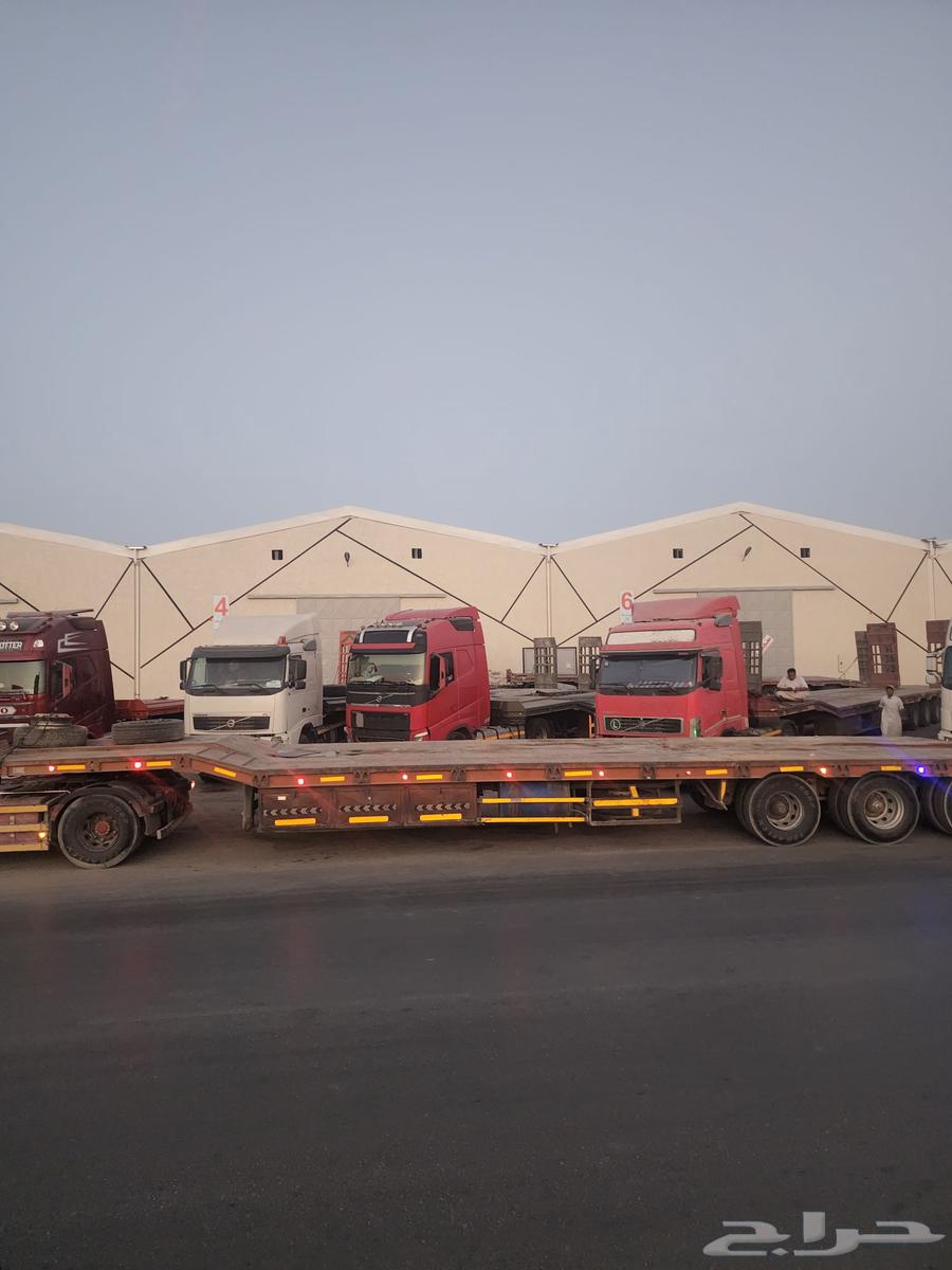 لوبد متواجد في الرياض64249504748674110