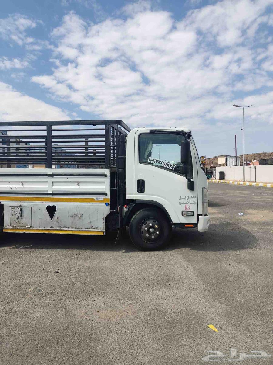 دينا نقل عفش داخل الطائف64228466394241110