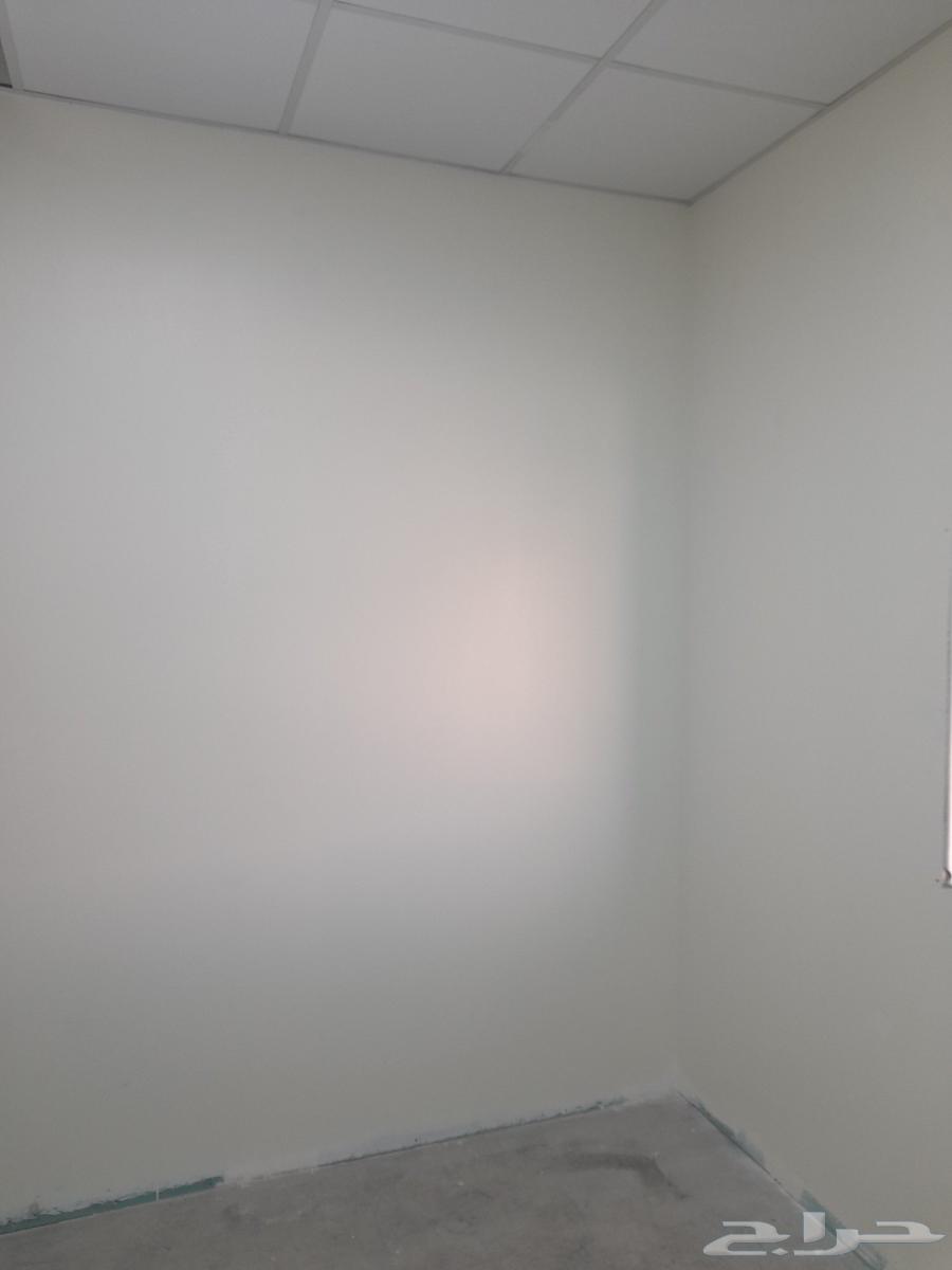 Painter in Makkah64225858968449110