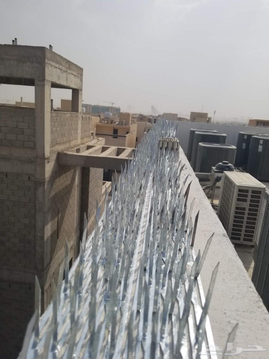 تركيب طارد حمام شركه مانع للحمام64229015181441113