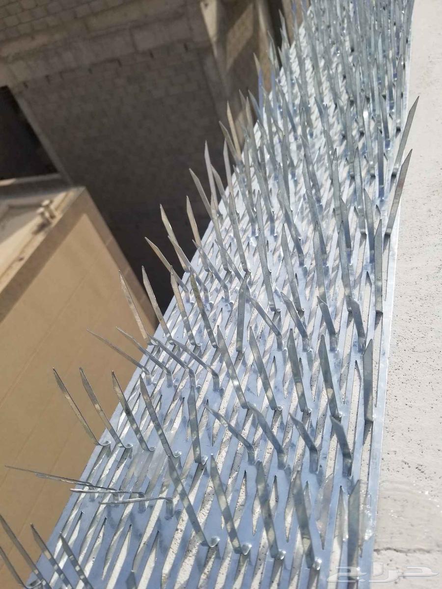 تركيب طارد حمام شركه مانع للحمام64229015181441111