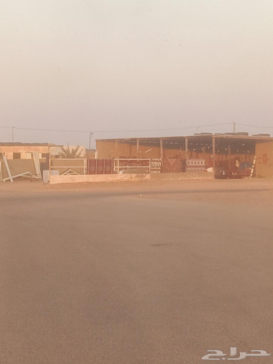 بيع مستلزمات المخيمات خيام بيوت شعر أسود أبيض ومغاسل جملونات64228464958337111