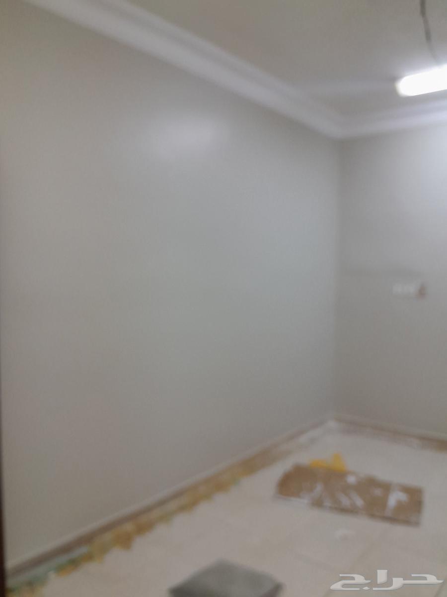 Painting in Dammam, Khobar, Qatif, Dharan64229181680003114
