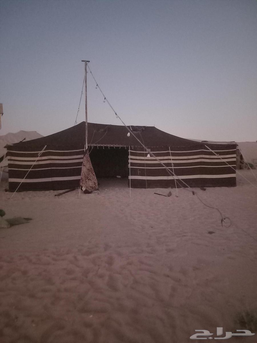 Tent and Abya Al-Shaar Installation in the Eastern Region64228465459841111