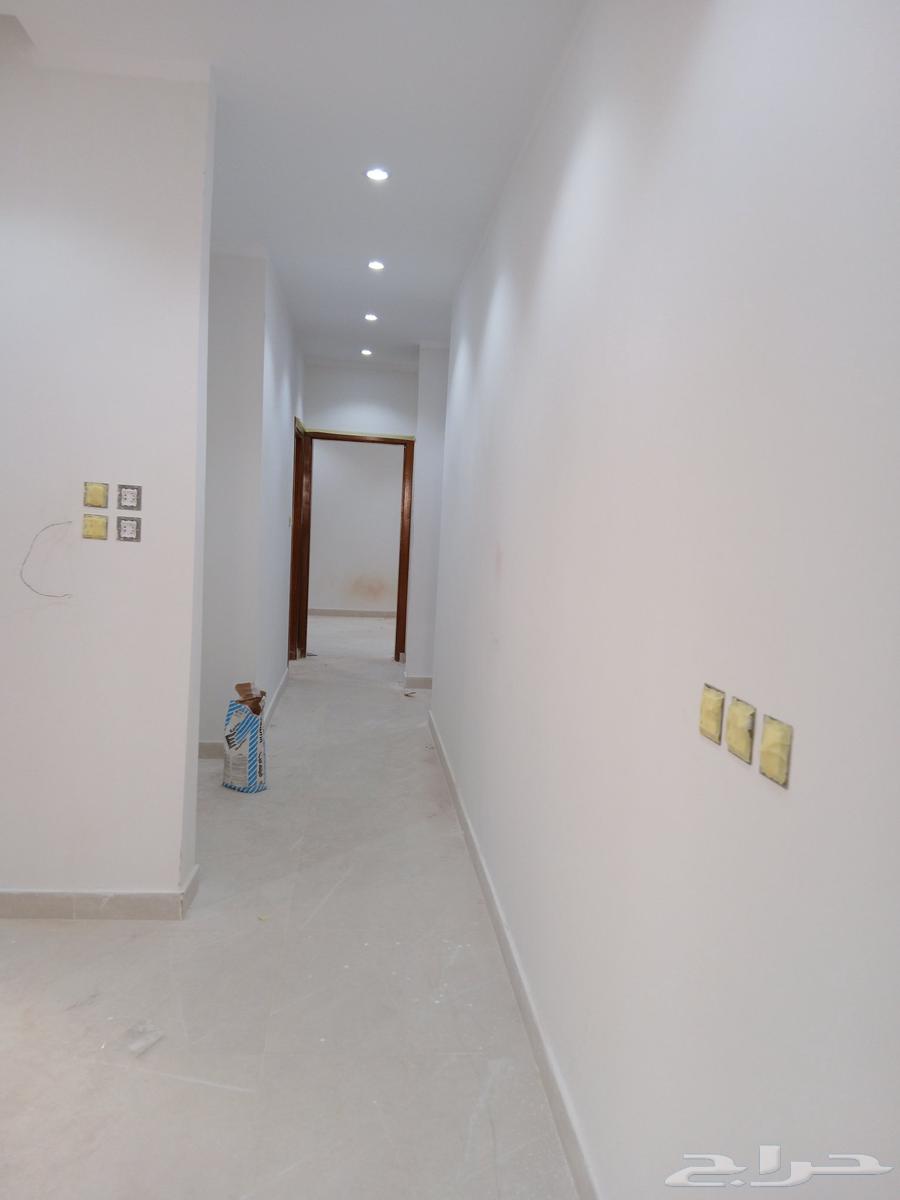 معلم دهان تبوك64229383485570110