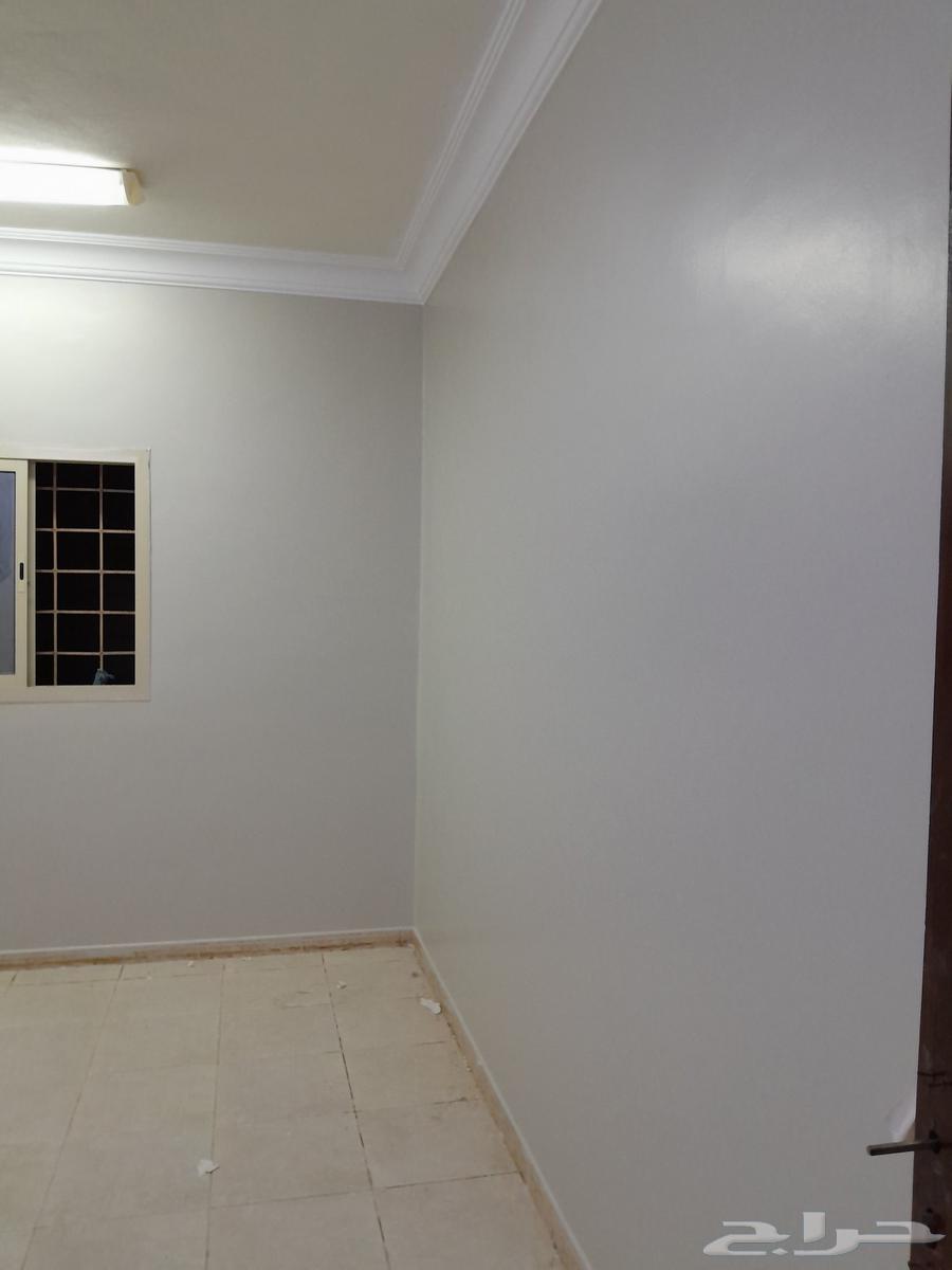 Painting in Dammam, Khobar, Qatif, Dharan64229181680003113