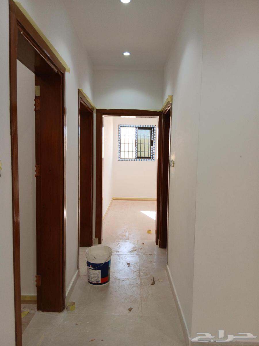 معلم دهان تبوك64229383485570111