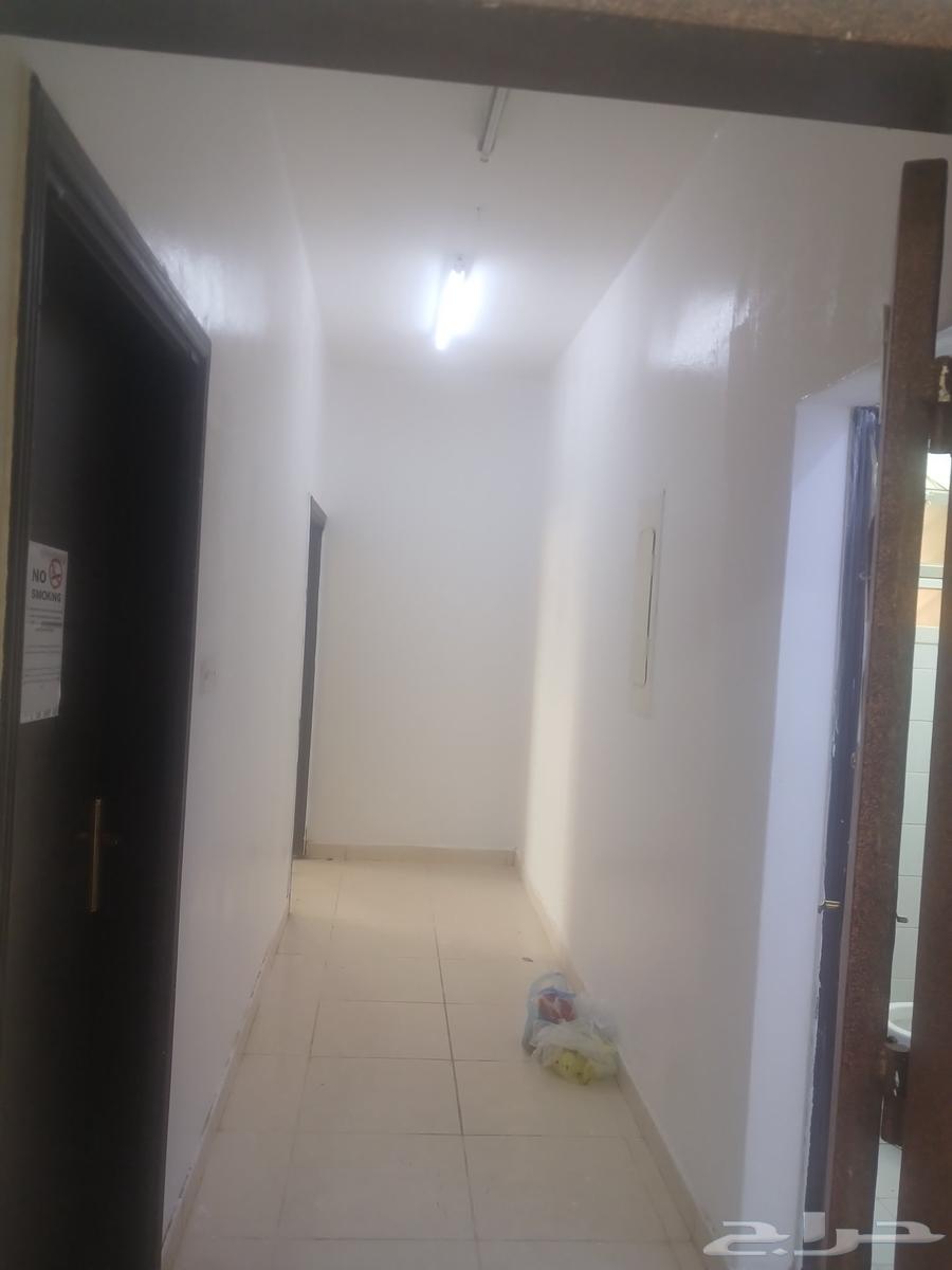 معلم بويه معلم دهانات64229384218882113