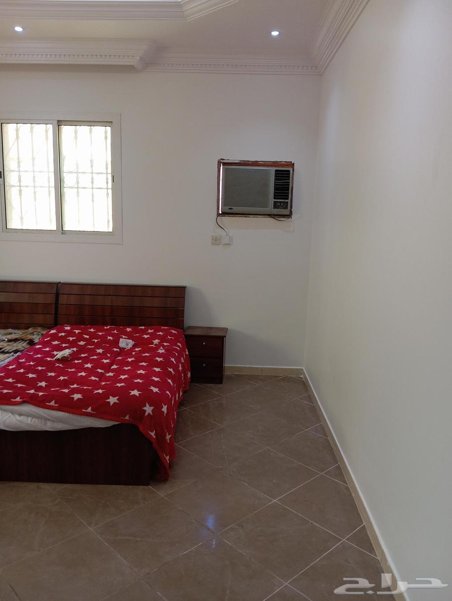 معلم بويا64228466018689113