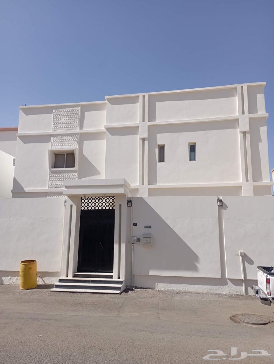 معلم دهان مباني حايل64228272896386113