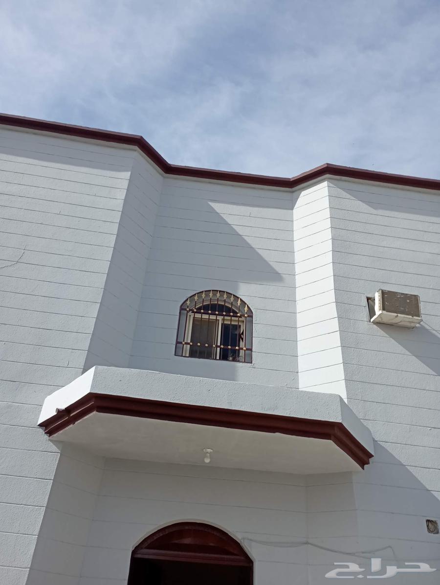 معلم دهان مباني حايل64228272896386110