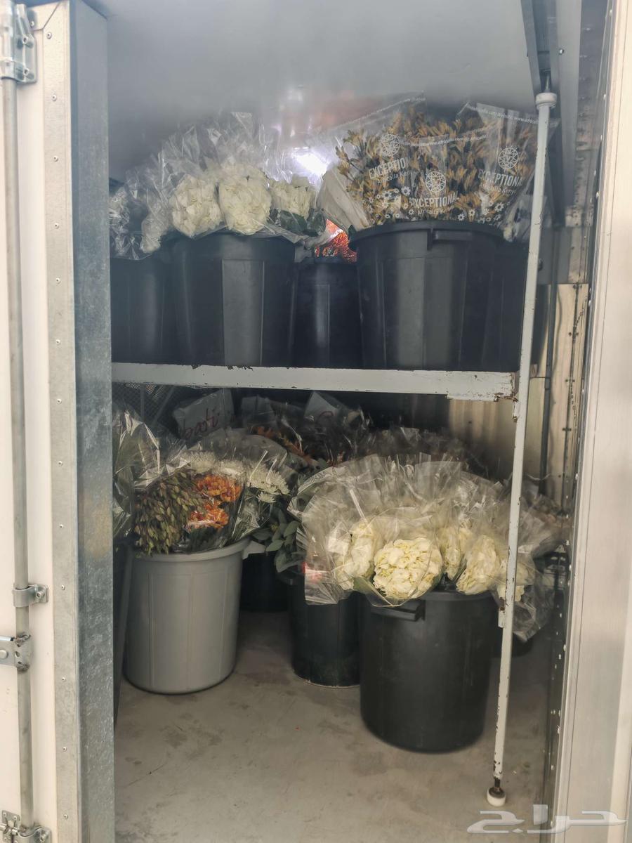 Refrigerated Transport and Delivery Within and Outside Riyadh64239967650946113