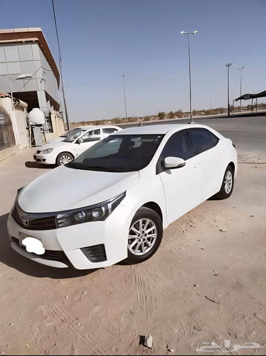 Delivery services for errands64228464047491110