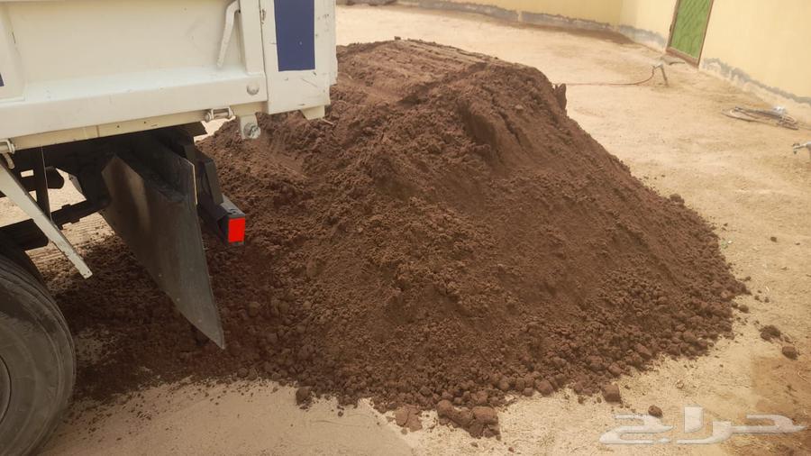 Dina tipping truck for transporting waste and debris with workers and without workers in Jeddah64239969823107113