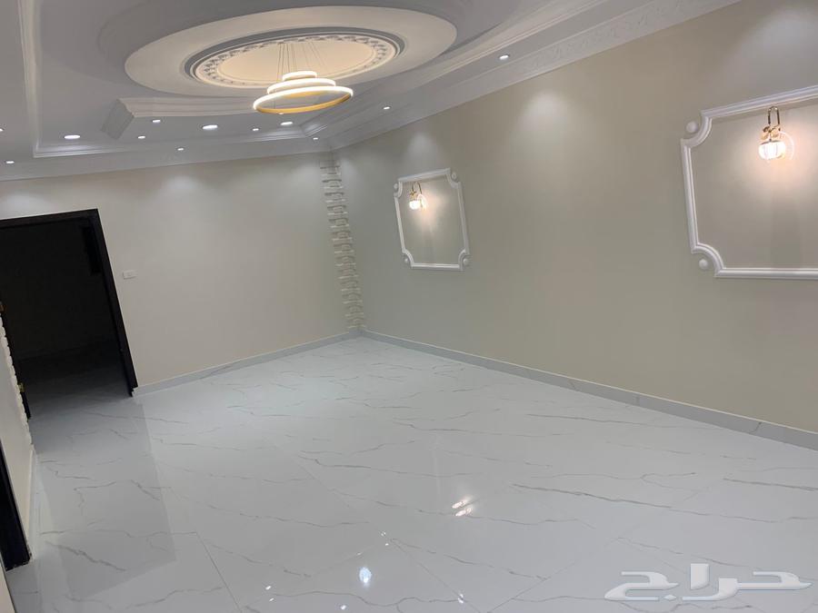 Taif Paint Master: The Best Wall Painter in Taif64228464698626113
