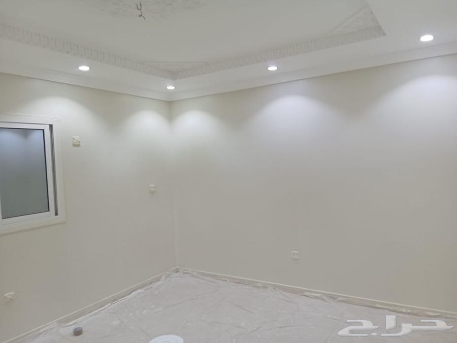 مقاول عام مصري لكافه اعمال الانشاءات والتشطيبات64239761020417111