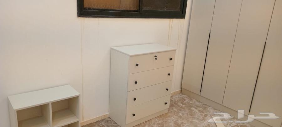 معرض روعة المكان لديكور64239967405569110